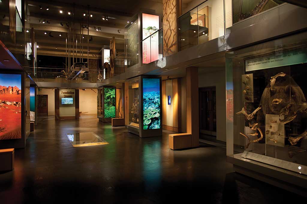 led downlight kit with mbl1